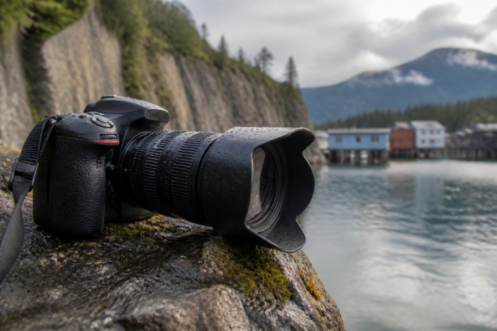 Why small-group wrangell tours beat crowded shore excursions for photo angles